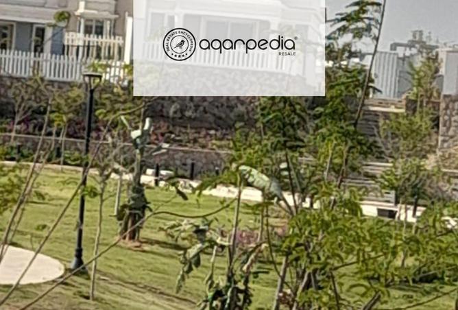 8124067 - Property Image 3