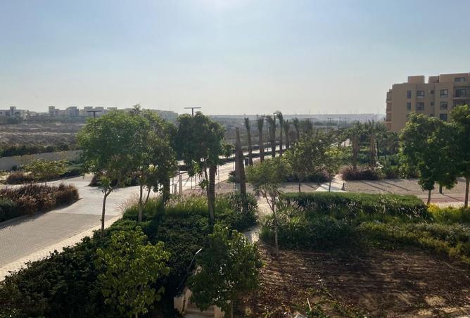 8203196 - صورة العقار 3