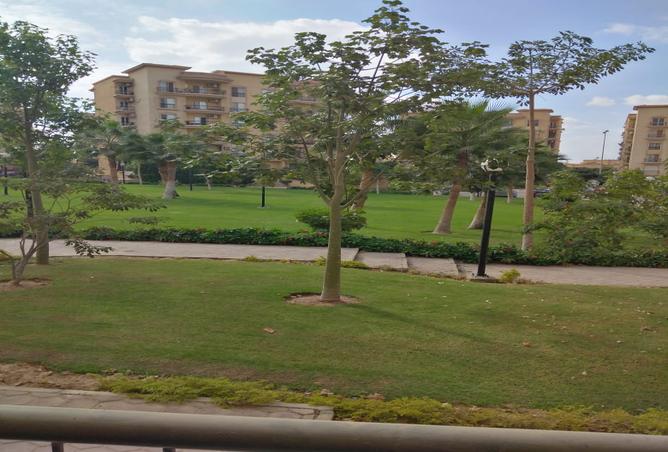 7982419 - صورة العقار 3