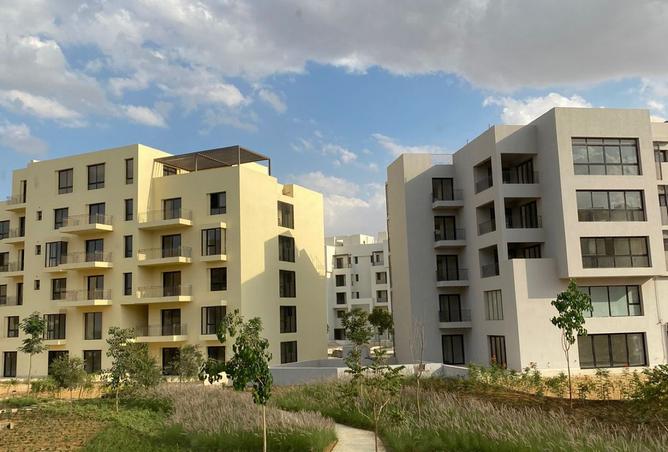 8381563 - الصورة الرئيسية للعقار