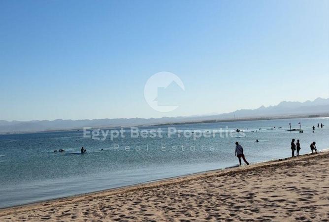 7992548 - صورة العقار 2