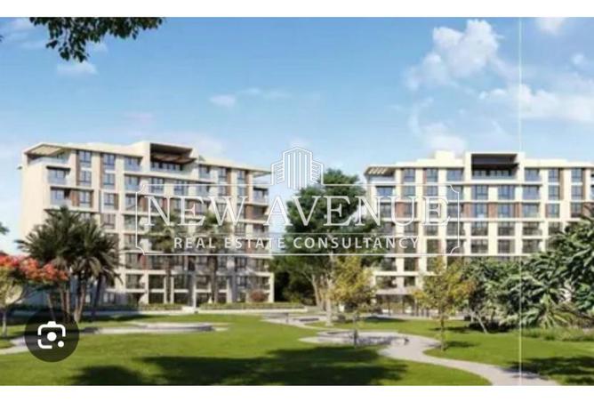 8271106 - Property Image 2