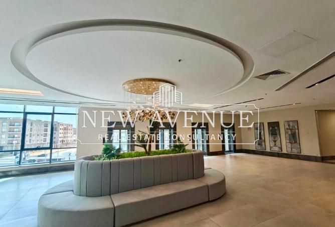 8386417 - Property Image 2