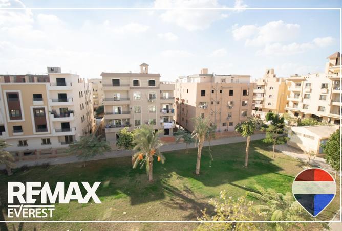 8363394 - Property Image 3