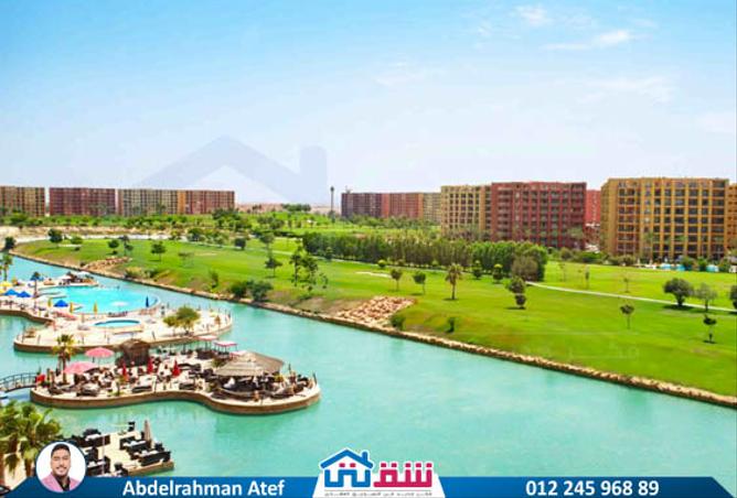 7976171 - الصورة الرئيسية للعقار