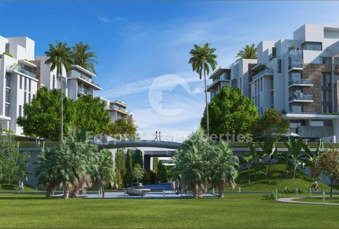 8069510 - Property Image 3