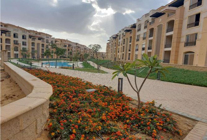 7990751 - Property Image 2