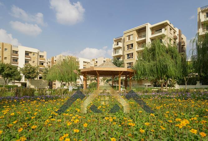 8405753 - Property Image 3