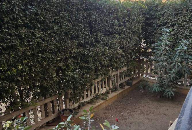 8529421 - Property Image 2