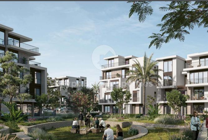 7970982 - Property Image 3