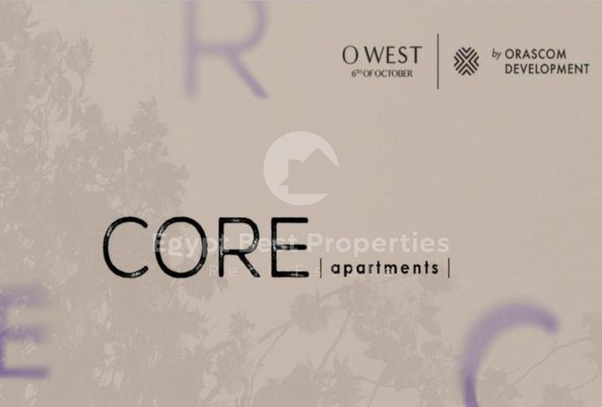8054135 - Property Image 3