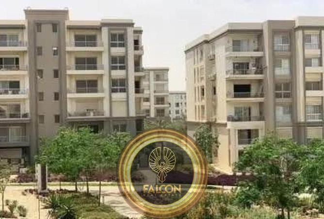 8276724 - Property Image 2