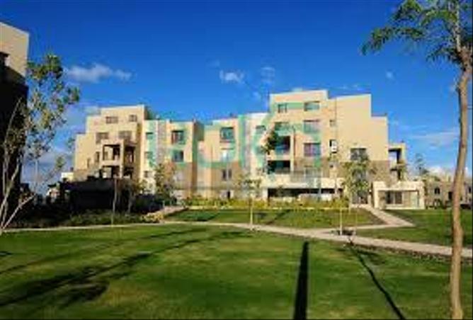 7979443 - صورة العقار 3