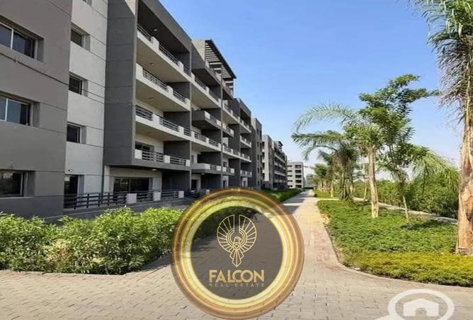 8127138 - Property Image 3