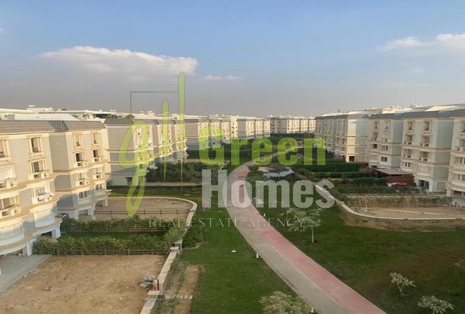 7887955 - Property Image 3
