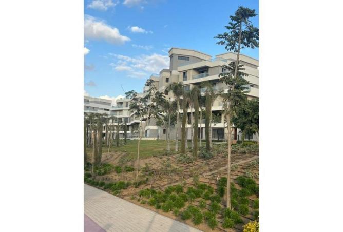 8133755 - Property Image 3