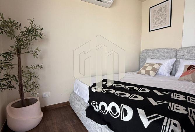8067215 - Property Image 2