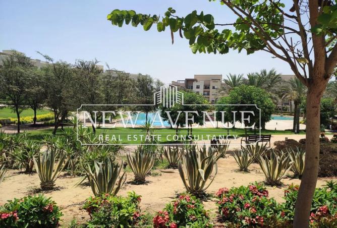 8067994 - صورة العقار 3