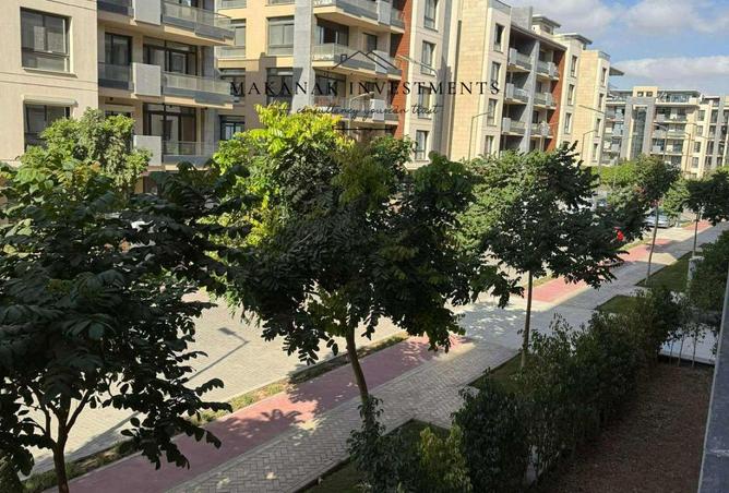 8502393 - Property Image 3