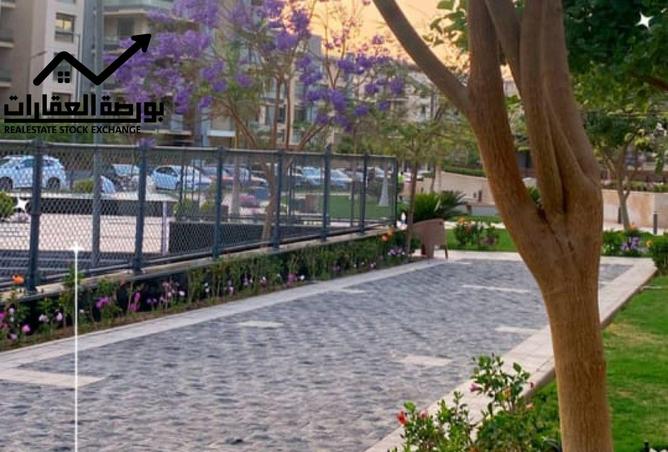 8257437 - صورة العقار 3