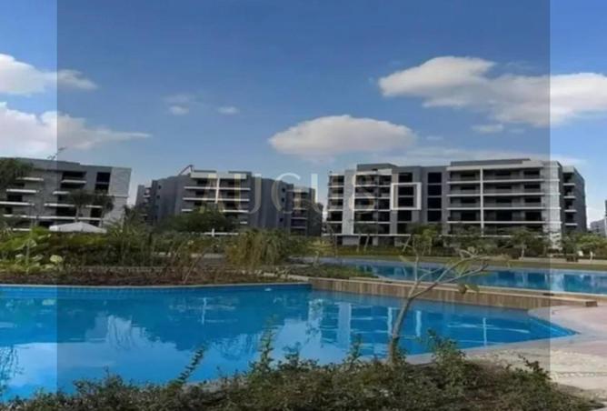 8435345 - Property Image 3