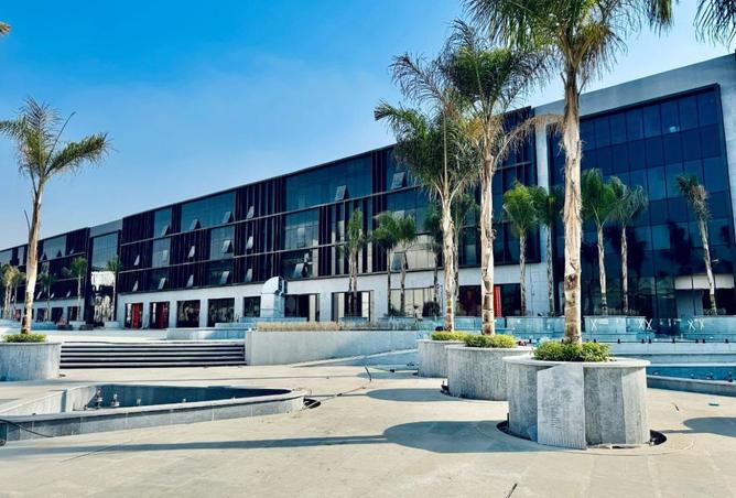 8466620 - صورة العقار 2