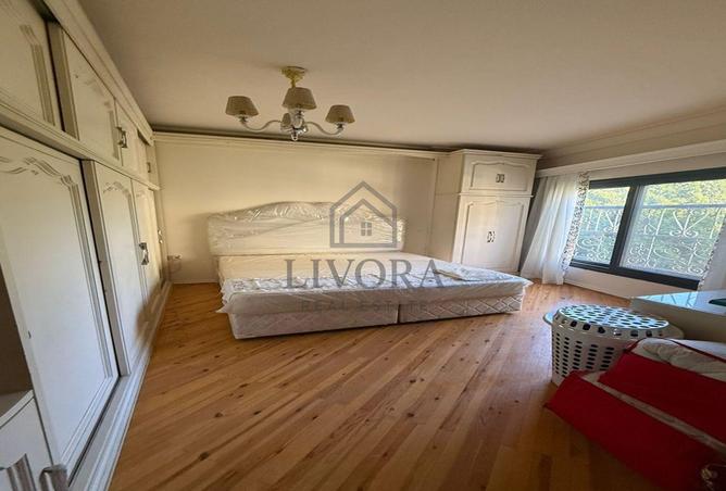 8128734 - Property Image 2