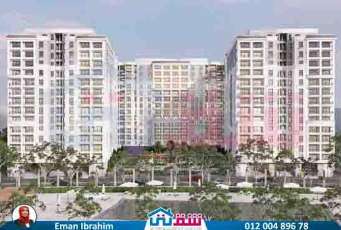 8202439 - صورة العقار 2