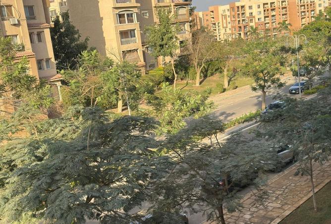 8396629 - Property Image 2