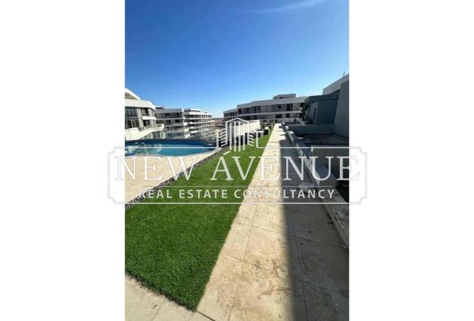 8156216 - Property Image 3