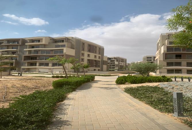 7990185 - صورة العقار 3