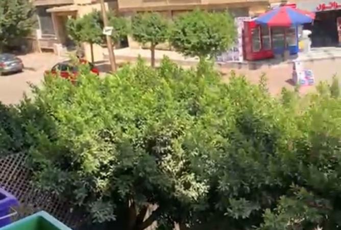 8079046 - الصورة الرئيسية للعقار