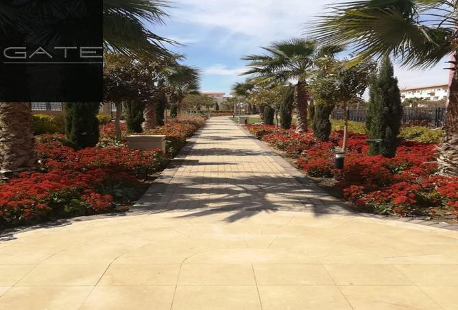 8003976 - Property Image 2