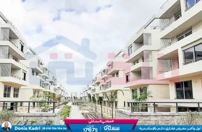 Villa - 3 Bedrooms - 2 Bathrooms for sale in Palm Hills - Alexandria Compounds - Alexandria