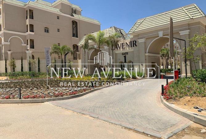 7927574 - Property Image 3