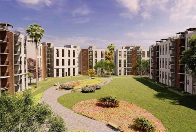 7986552 - Property Image 3