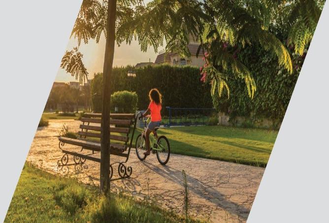 8166098 - Property Image 3