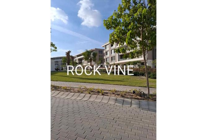 8295995 - Property Image 3