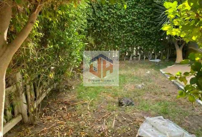 8025020 - صورة العقار 2