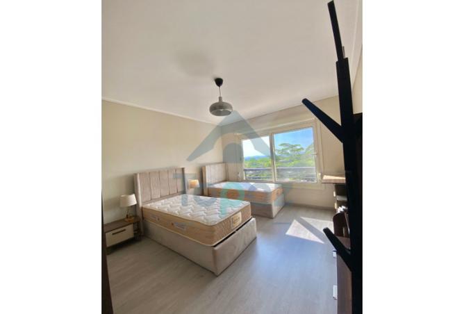 8136355 - Property Image 3