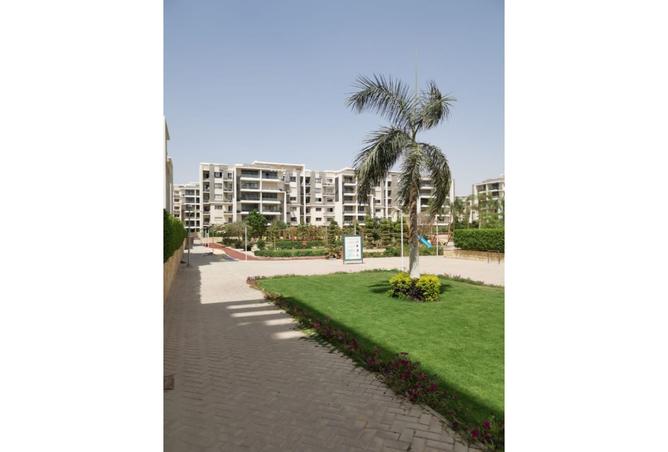 8036323 - Property Image 2