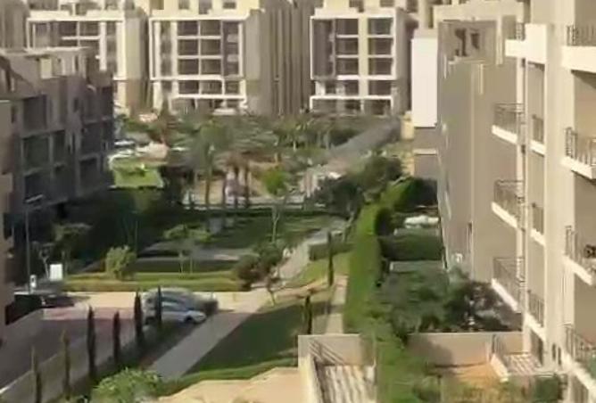 8295155 - Property Image 3