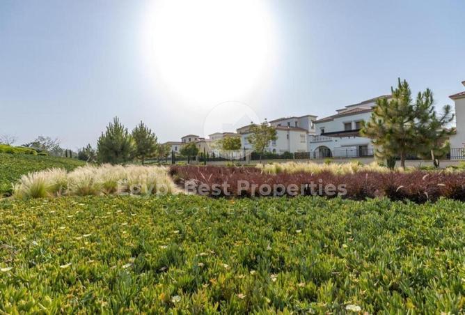 8252010 - Property Image 2