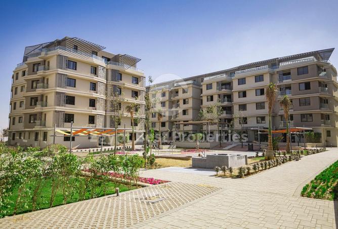 7984072 - Property Image 2
