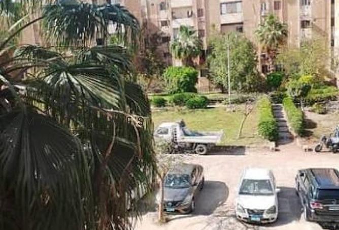8032237 - صورة العقار 3