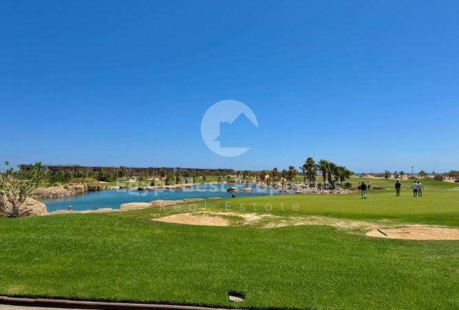 8031884 - صورة العقار 2
