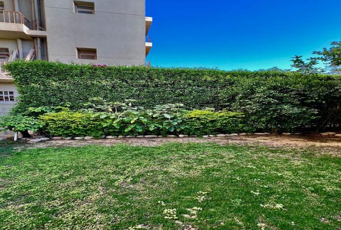 8411511 - Property Image 3