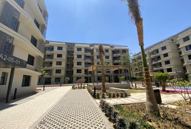 8395748 - Property Image 3