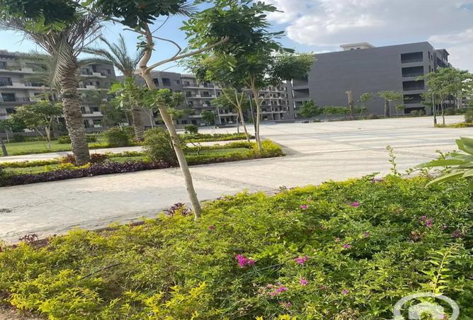 8540821 - صورة العقار 3