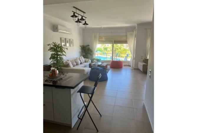 7897846 - Property Image 3